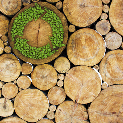 Statement Circulaire Economie