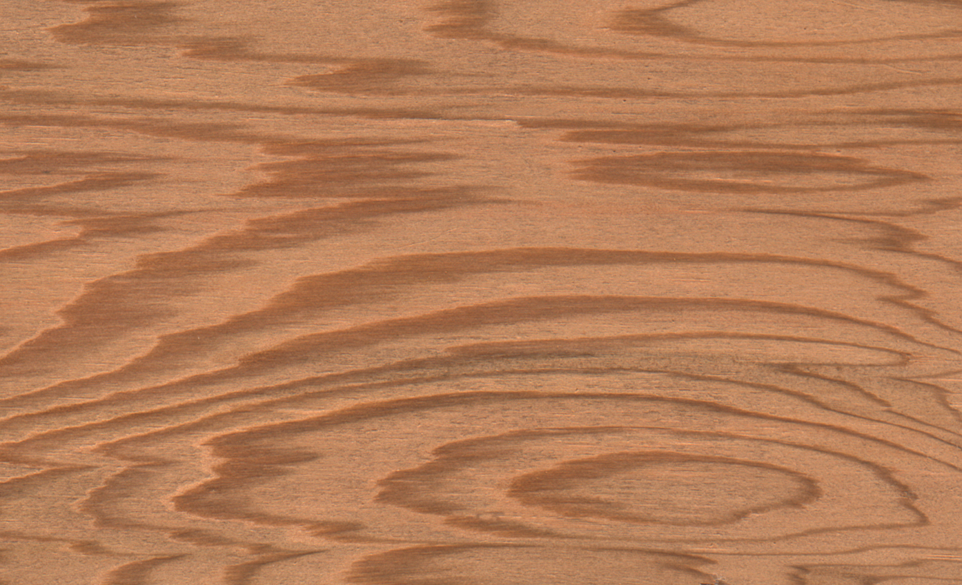 Western-red-cedar.jpg (3)