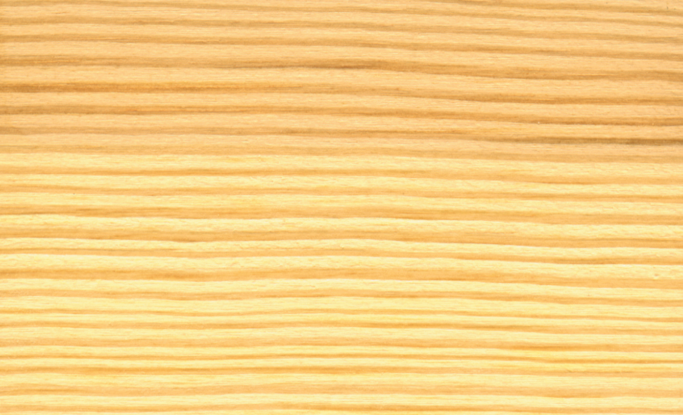 Grenen-Europees.jpg (3)