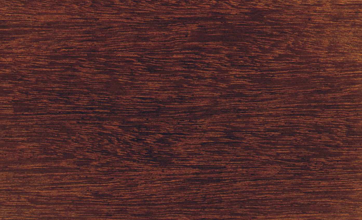 Massaranduba-A-Dosse-Manilkara-sp-HV2005.jpg (3)