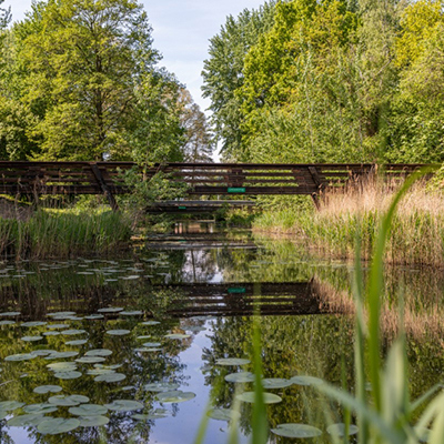 Dashboard "Hout in de GWW" is live