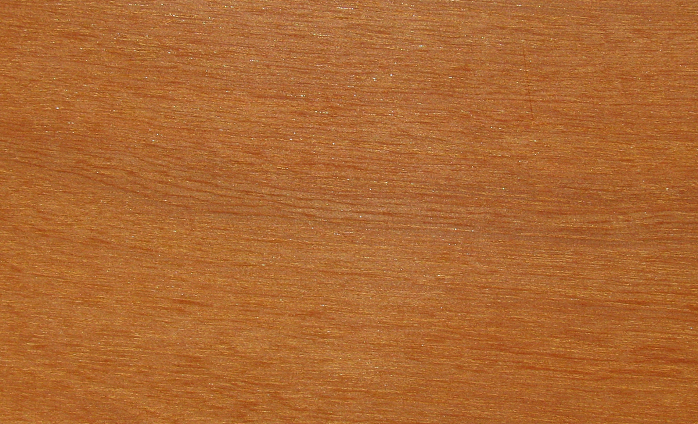 Mukulungu-A-Dosse-Autranella-congolensis-GH.jpg (3)