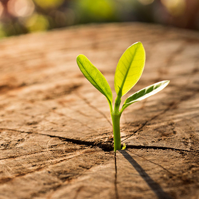 Vacature: Communicatie & Marketing bij de VVNH