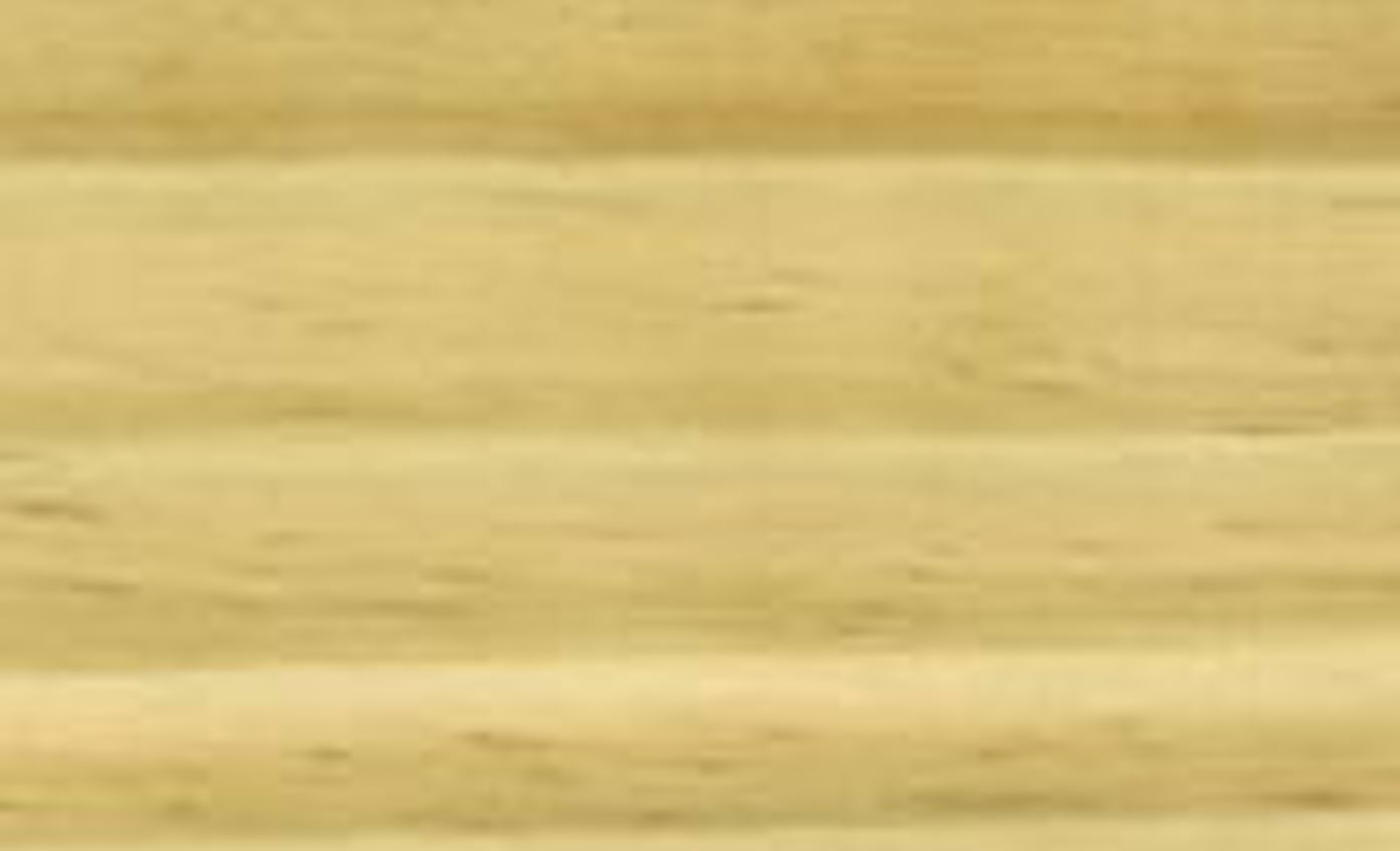 Radiata_Pine.jpg (3)