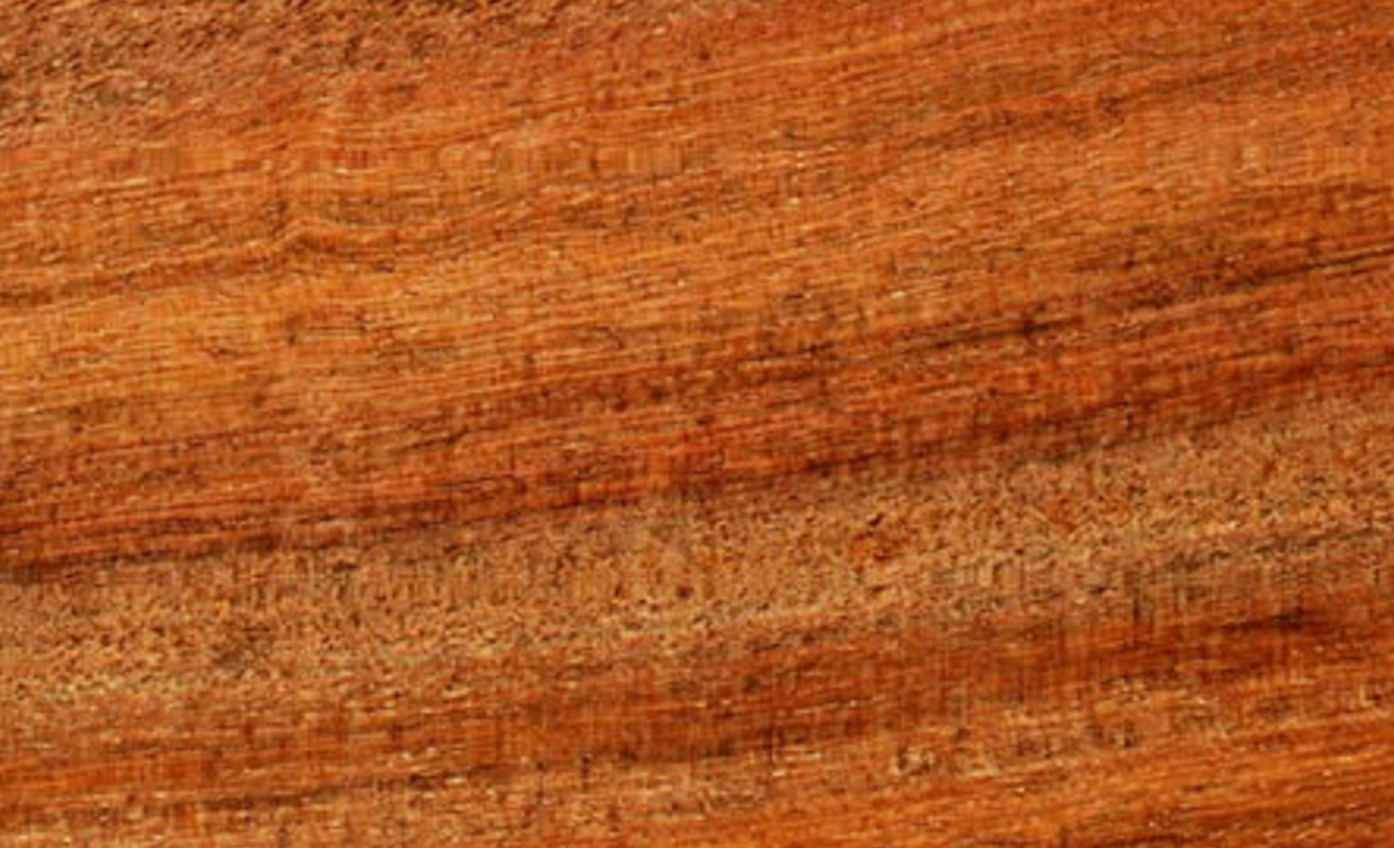 Angelim-vermelho.jpg (3)