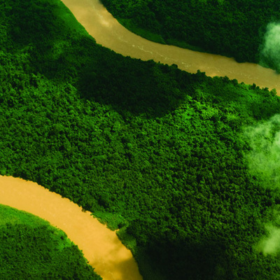 Maleisië: brandpunt van houtvernieuwing