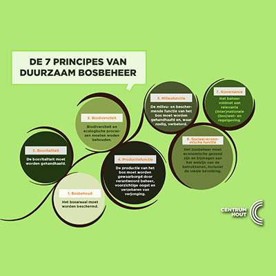 Houtographic 'De 7 principes van duurzaam bosbeheer'