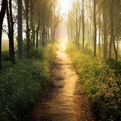 Campagne ‘Hout. Natuurlijk van nu.’ van start!
