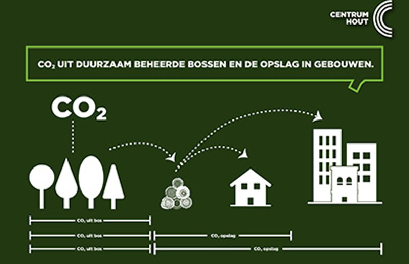 Houtographic 'Fotosynthese'