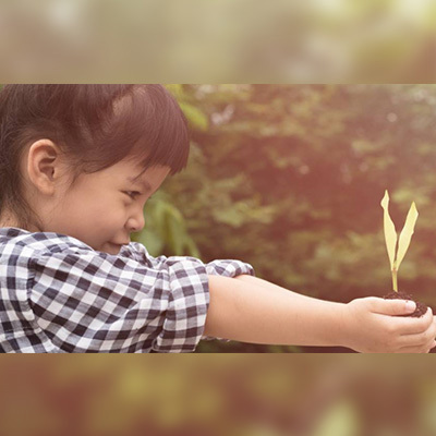 Download de whitepaper: meer hout, meer gezondheid?