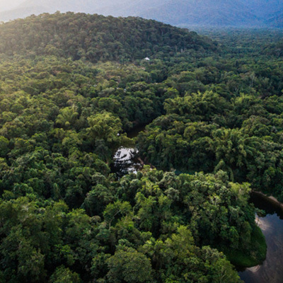 Maleisië: brandpunt van houtvernieuwing (1)