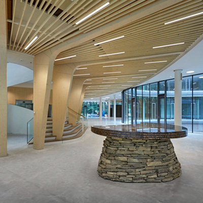 CLT, LVL, glulam... wat zijn dat voor materialen?