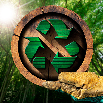 NBVT, TNO, SKH werken aan circulair houtgebruik