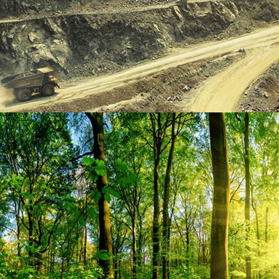 Hout hoort thuis in duurzaam beleid