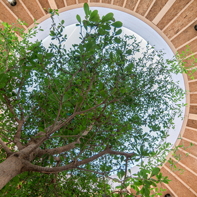 Bouwen met hout maakt het leven mooier